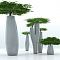 Кашпо MISSED TREE III
