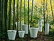 Коллекция кашпо NEW POT Family