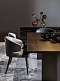 Обеденный стул ASTON Dining от Minotti