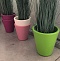 Коллекция кашпо NEW POT Family