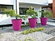 Коллекция кашпо NEW POT Family