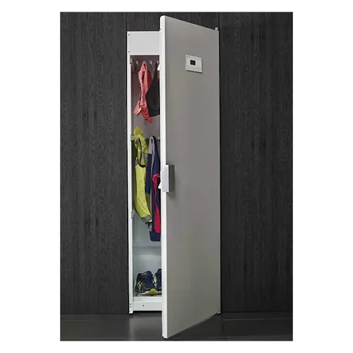 Сушильный шкаф ASKO DC7784V.S