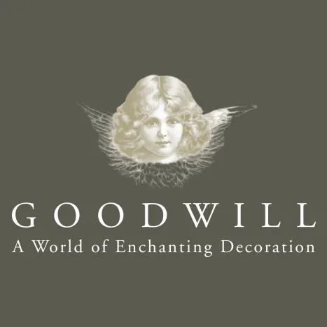 Goodwill